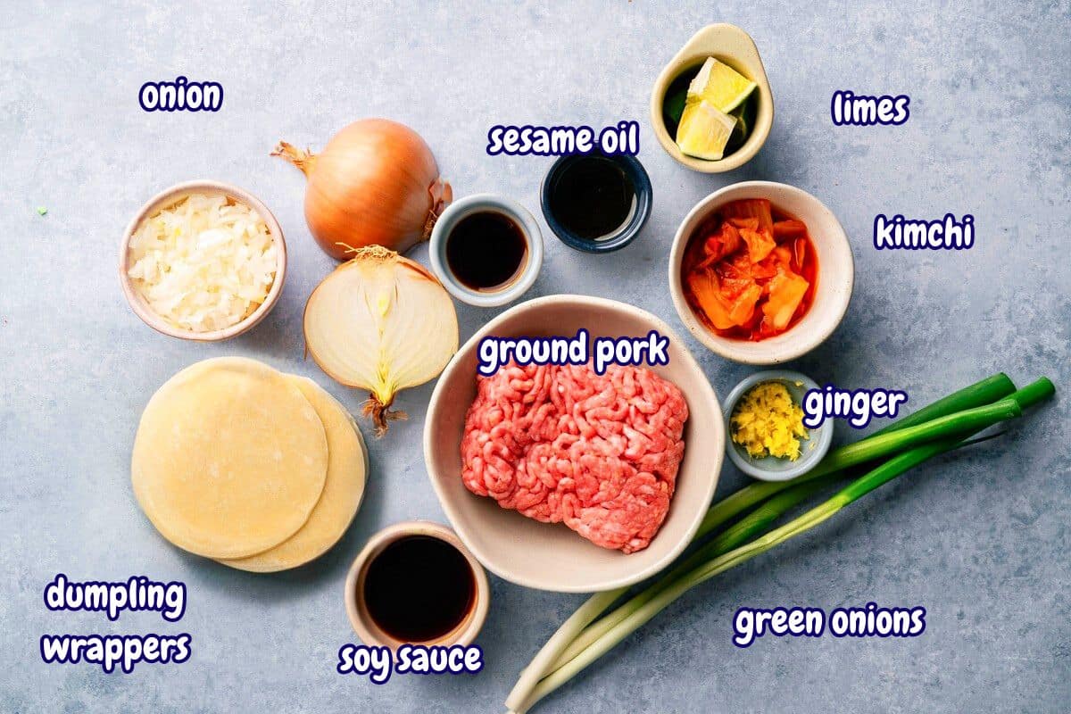 Kimchi dumpling ingredients labeled on light blue background.