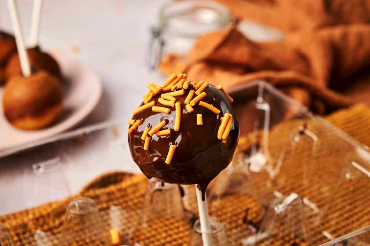 Pumpkin cake pop in stand with chocolate coating and sprinkles.