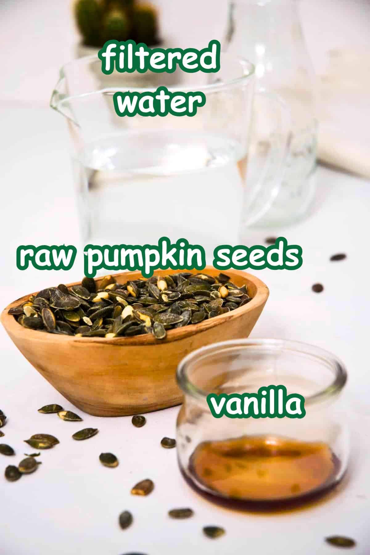 Pumpkin seed milk ingredients on white background.