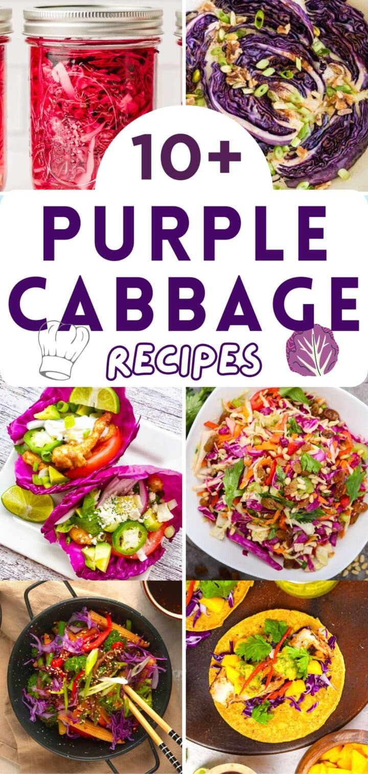 Image collage of purple cabbage recipes with text overlay that says '10+ Purple Cabbage Recipes'.