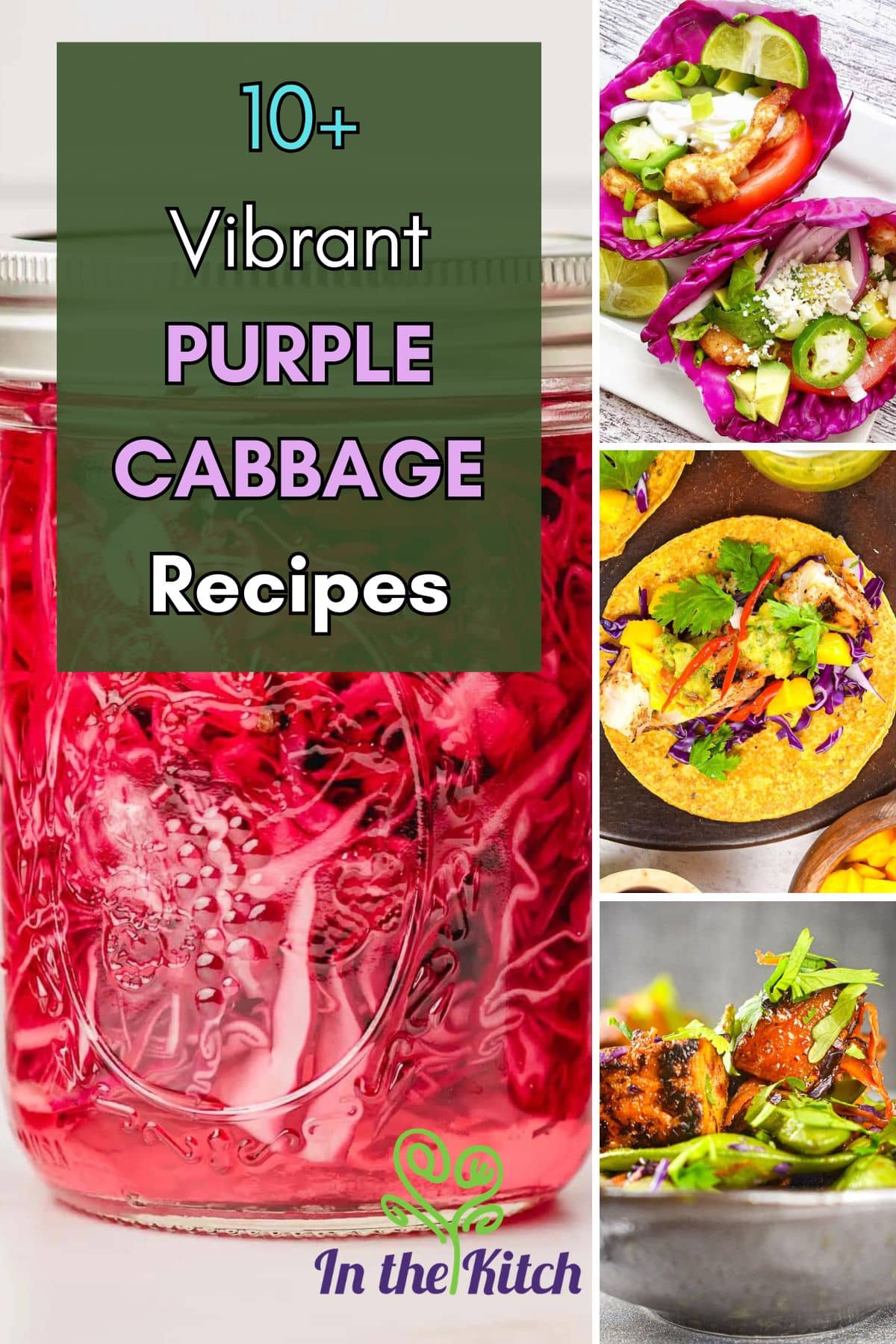 Image collage of purple cabbage recipes with text overlay that says '10+ Vibrant Purple Cabbage Recipes'.
