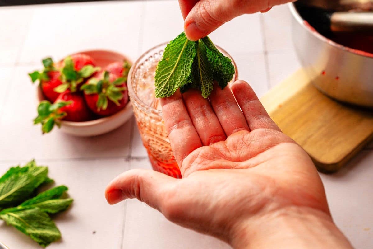 Mint sprig in woman's palm.