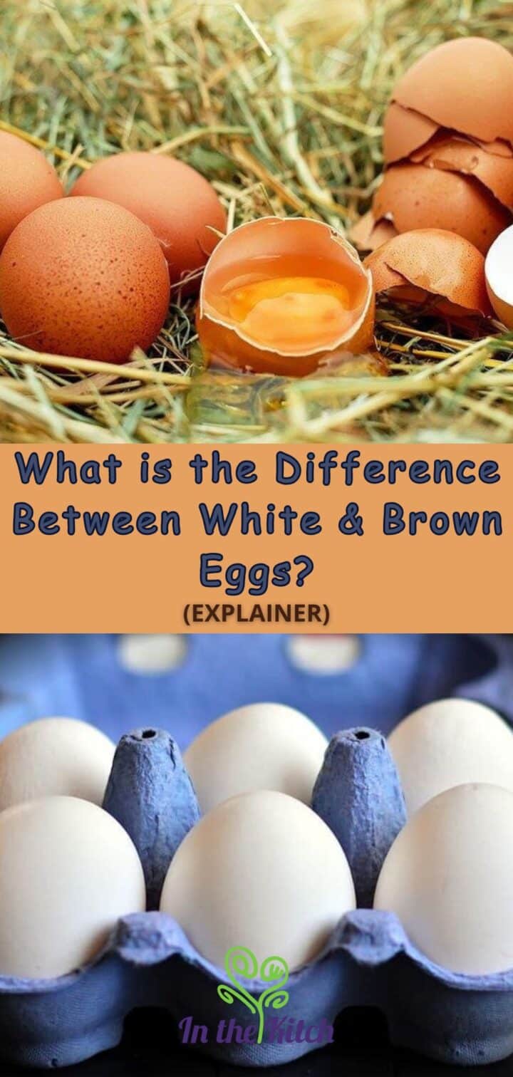 Pictures of brown and white eggs with text overlay that says 'What is the difference between white and brown eggs? Explainer.'