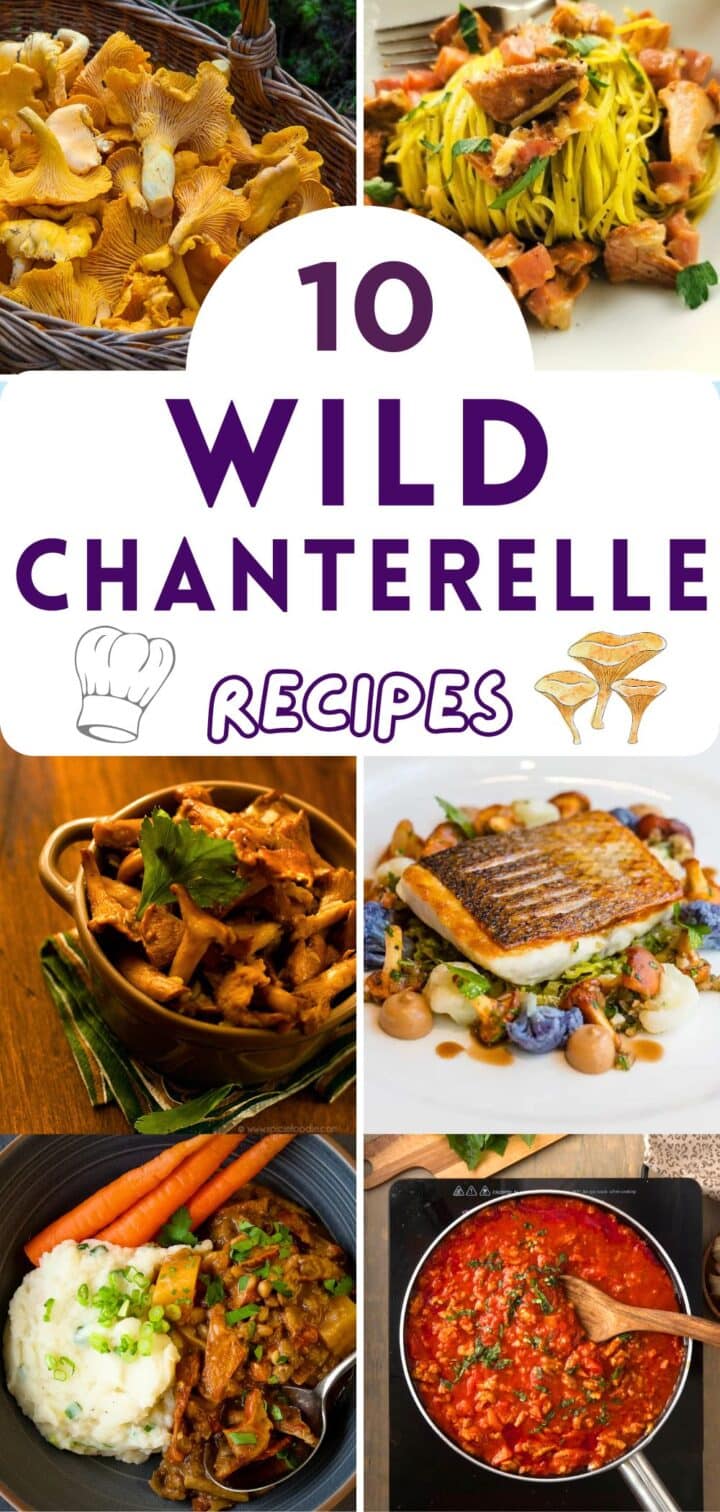 Image collage of chanterelle mushroom recipes with text overlay that says '10 Wild Chanterelle Recipes'.